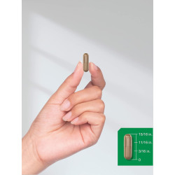 Graviola 2000mg x120caps. Horbäach
