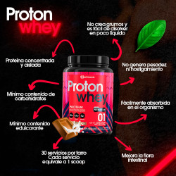 Proton Whey